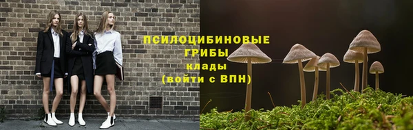 твердый Нефтегорск