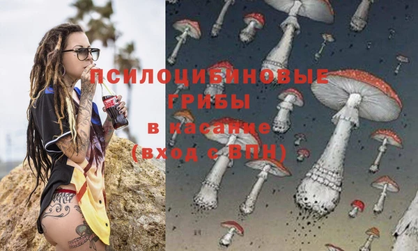 эйфоретик Нефтекумск