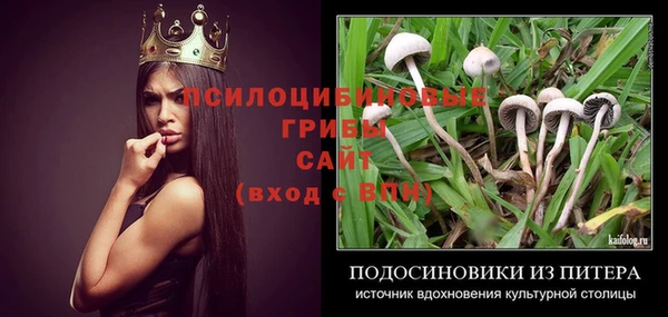 эйфоретик Нефтекумск