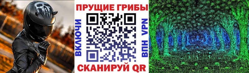 купить наркотики сайты  Шиханы  Псилоцибиновые грибы Magic Shrooms 